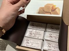 -微热山丘(台北民生公园门市店)
