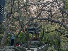 -乌山风景区