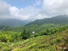 -江南天池