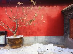-护国法轮寺