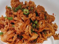 -聚鑫朋酸菜肥肠(文艺路口店)