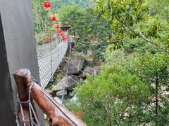 -海南热带雨林国家公园吊罗山景区