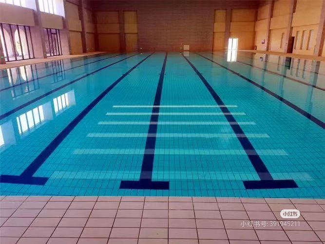 广州100元14天,畅游最美室内恒温游泳