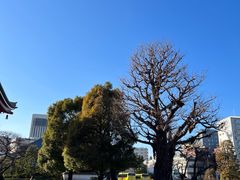 -浅草寺