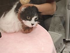 -FAELING PETS美天灵宠物(合生汇店)