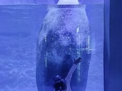 -蓬莱欧乐堡海洋极地世界