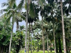 -中国科学院西双版纳热带植物园