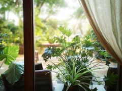 -时光花园(白鹭洲店)