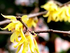 -神旺大酒店-停车场