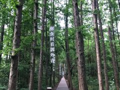 -同里国家湿地公园