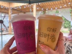 -西双版纳傣族园