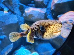 -成都浩海立方海洋公园