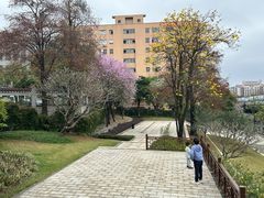 -广州七星岗古海岸遗址科学公园