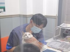 -伟伟宠物医院·CT影像中心·瑞派犬猫综合性门诊(汉口总院)