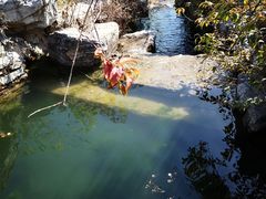 -中关村生命科学园