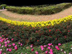 -人民公园(罗湖区)