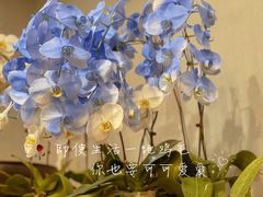 -双季花艺园艺市场(浦东店)