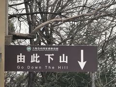 -上海佘山国家森林公园西佘山园