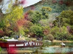 -桃花岛景观公园