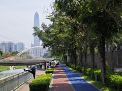 -福田红树林生态公园