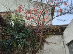 -吴作人艺术馆