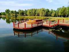 -东郊湿地公园