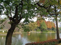 -晓港公园