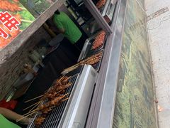 -合肥滨湖国家森林公园