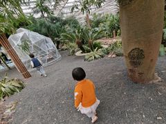 -上海鲜花港