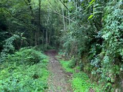 -会稽山峡洞漂流-上青古道