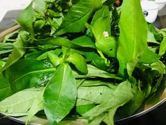 -黔府豆米火锅野菜馆(南马店)