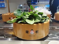 -龍歌自助小火锅(市南金茂湾店)