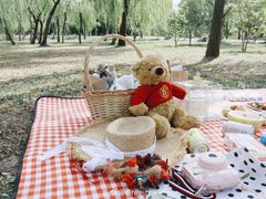 -蜀冈西峰生态公园