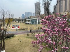 -府河摄影公园