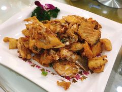 椒盐金鲷鱼鱼骨-寻味顺德·南记酒家·传统顺德菜·鱼生(广源路店)