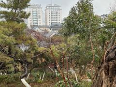 -戏马台景区