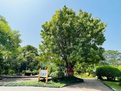 -福建鲤鱼洲酒店