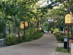 -三亚珠江南田温泉度假区