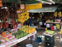 -南沙十九涌渔人码头-南门