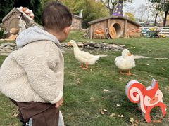 -HERRE·FARM 赫尔露营农场·团建聚会包场