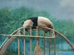 -杭州动物园