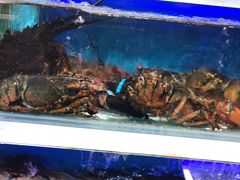 -盒马鲜生(红莲店)