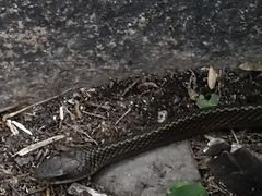 -碓臼峪自然风景区