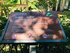 -中国大熊猫保护研究中心雅安碧峰峡基地