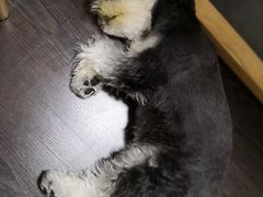 -仰生如卉推拿养生馆(酒仙桥店)