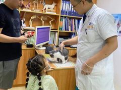 -pd派德宠物中心医院24H急重症·眼科中心·血液透析中心(嵩山北路店)