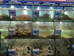 水产区-三亚老渔民海鲜店