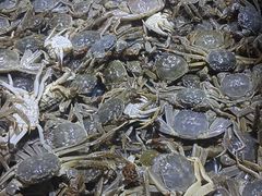-聚盛源蒸汽海鲜火锅烤肉自助(巨川金海岸购物广场店)