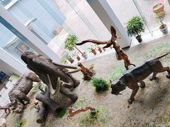 -中国第四纪冰川遗迹陈列馆