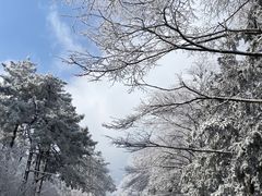 -四明山国家森林公园